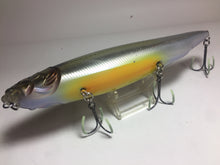 Load image into Gallery viewer, 70020) Megabass Megadog 220 for Saltwater Big bait Lure