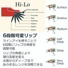 Load image into Gallery viewer, 34084) Abu Garcia Hi-Lo 200F AHHILO200F-BON Bone