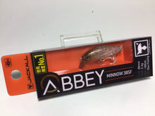 Load image into Gallery viewer, 33563) JACKALLABBEY MINNOW 38SF #Koika