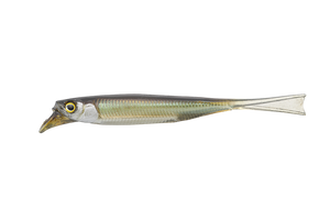 31696) JACKALL DRIFTFRY 4.0" Color variation