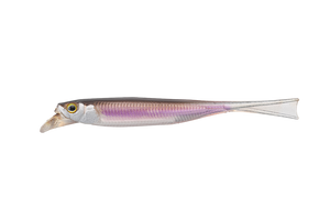 31696) JACKALL DRIFTFRY 4.0" Color variation