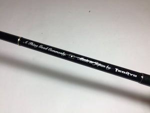S9004) TENRYU Rays RZ85MH-BC for Trout Bait Casting Rod