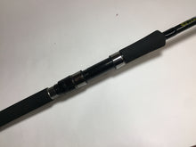 Load image into Gallery viewer, S9029) JUMPRIZE ALL WAKE 107 HYPER FUSION for Saltwater Spinning Rod