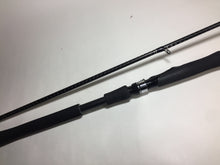 Load image into Gallery viewer, 70556) SHIMANO DIALUNA S1000M for Saltwater Spinning Rod