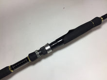 Load image into Gallery viewer, 70741) Major Craft SKY LOAD SKR-962M for Saltwater Seabass Spinning Rod