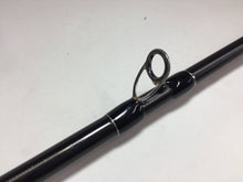 Load image into Gallery viewer, S9111) Fishman BRIST VENDAVAL 8.9M for Free Style Bait Casting Rod