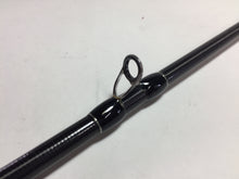 Load image into Gallery viewer, S9111) Fishman BRIST VENDAVAL 8.9M for Free Style Bait Casting Rod