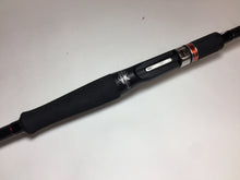Load image into Gallery viewer, S8953) APIA Foojin&#39; RS PRELUDE C88M for Saltwater Shore Bait Casting Rod