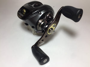 R5696) DAIWA 2006 STEEZ 100HL , Deep spool bait casting Reel
