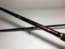Load image into Gallery viewer, S8960) DAIWA Over There 100H for Saltwater Shore Casting Spinning Rod