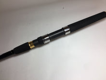 Load image into Gallery viewer, S8960) DAIWA Over There 100H for Saltwater Shore Casting Spinning Rod