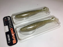 Load image into Gallery viewer, 39839) GAN CRAFT Bariki Shad 6.8&quot; 2pcs #01 Jya Ayu