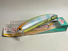 Load image into Gallery viewer, 11451) Pozi Drive Garage P.D.G SPANK WALKER 133F #10 CBR Chartback Rainbow