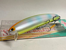 Load image into Gallery viewer, 11451) Pozi Drive Garage P.D.G SPANK WALKER 133F #10 CBR Chartback Rainbow