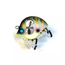 Load image into Gallery viewer, 11557) FROG PRODUCTS Wood Gill raker LIVE #Gill color