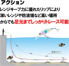 Load image into Gallery viewer, 11885) DUEL HARDCORE LG SHAD 50S #01 Blue Pink Candy