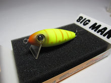 Load image into Gallery viewer, 30468) BIG MAN Area Moguru Bug MR, Wood Handmade #Mat Chart