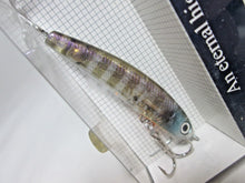 Load image into Gallery viewer, 24488) HMKL Jordan 50S #CHIGILL