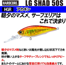 Load image into Gallery viewer, 11874) DUEL HARDCORE LG SHAD 50S #02 HGR Akakin