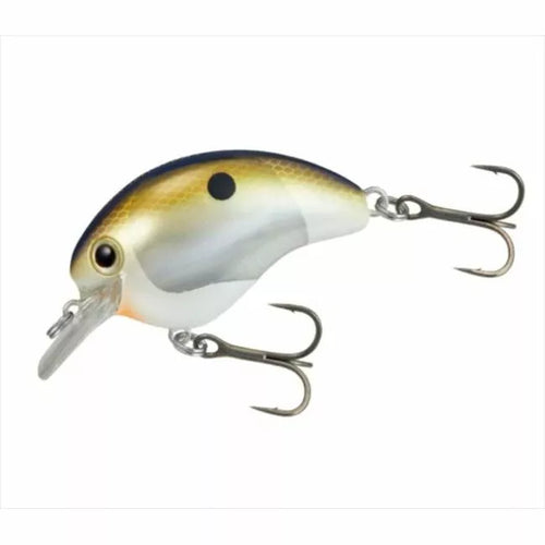 20012) SHIMANO Bantam World Rush 56F Flash Boost ZQ-C56V #005 Sexy G Shad