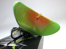 Load image into Gallery viewer, 20585) MIMIX BUGGY BUX Floating/Non-Rattle Topwater Lure #Black