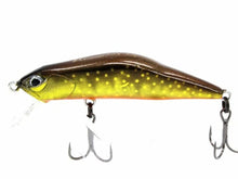 Load image into Gallery viewer, 30200) IVYLINE T-Gravits 50S, Trout Minnow #TR04 Genryu Iwana