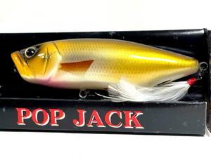 21836) Fish Arrow POP JACK 100F #138 Moroko